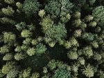 Abri de jardin en bois avec bûcher et plancher traité 4,47 m² portes doubles et fenêtres
