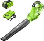 Souffleur sans fil 40 V vitesse variable 150 mph débit 130 CFM batterie 2 Ah chargeur inclus