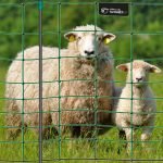 Filet électrifiable pour moutons et chèvres 50 m hauteur 108 cm 14 piquets vert