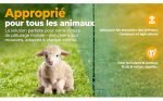 Filet poule 15 m x 90 cm avec poteaux et tendeurs