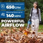Souffleur de feuilles sans fil 40 V 650 CFM avec 2 batteries 4,0 Ah et chargeur