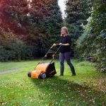 Scarificateur électrique 1350 W 33 cm 2 en 1 avec sac de collecte 40 L
