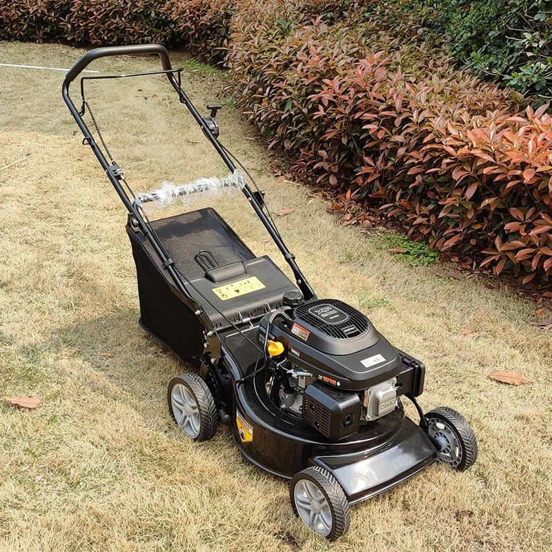 Tondeuse thermique 4 temps 196 cc coupe 46 cm 7 vitesses bac 60 L